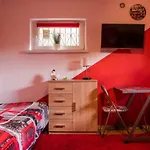 Goscinne Oliwia & Laura I Privat bolig Rumia